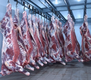 whole beef share (hanging weight)