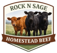 whatsapp image 2025 12 16 at 6.48.07 pm removebg preview